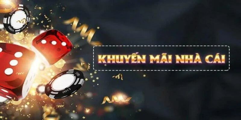 Đa dạng khuyến mãi hấp dẫn cho hội viên